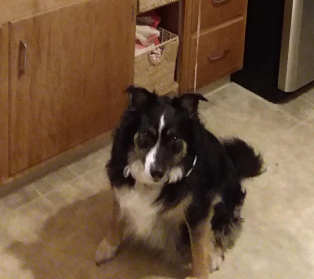 Let Me Tell You About&nbsp;Shep