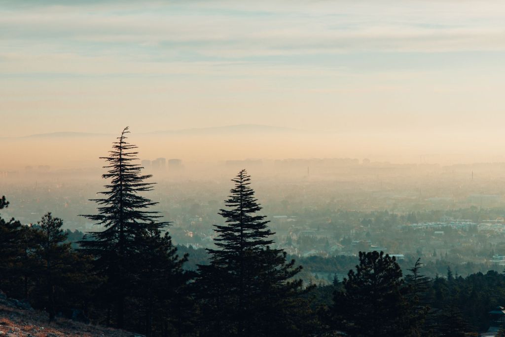 Poor Air Quality? Here’s 10 Ways to Cope